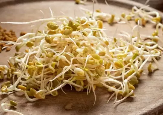 अंकुरित मेथी डायबिटीज ही नहीं इन 4 बीमारियों के लिए खास फायदेमंद