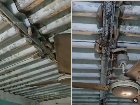 ठंड में कई महीने तक नहीं चला पंखा