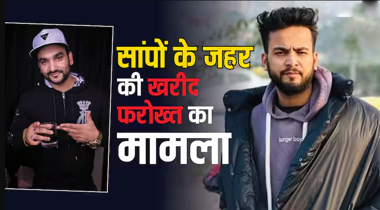 एल्विश यादव और फाजिलपुरिया पर ED ने कसा शिकंजा