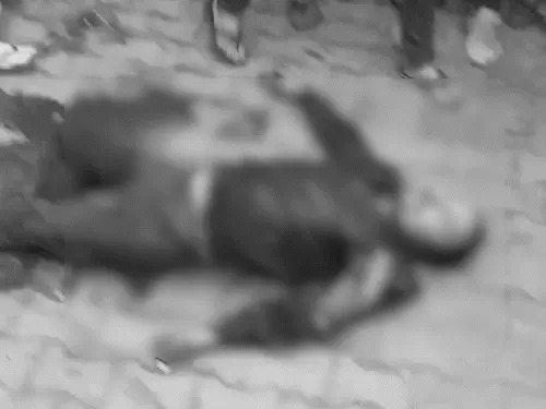 मथुरा: ऑक्सीजन सिलेंडर के गोदाम में धमाका